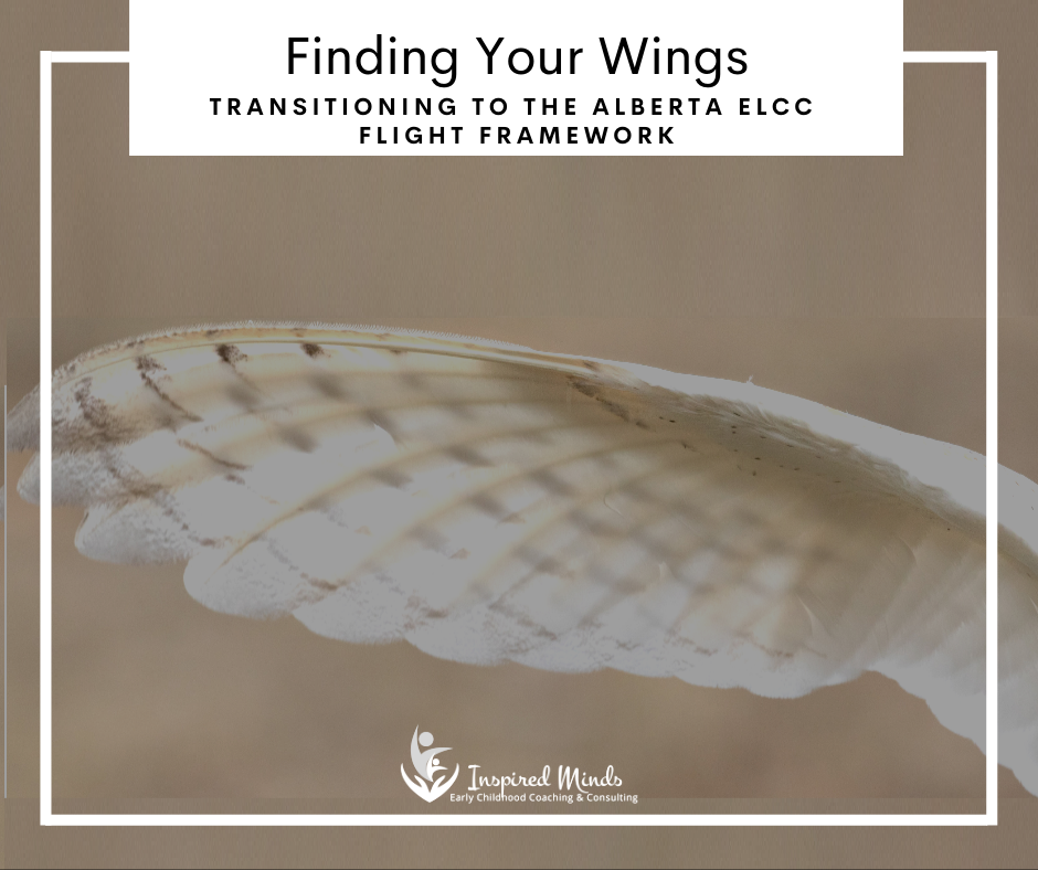 Read more about the article Finding Your Wings! FLIGHT!