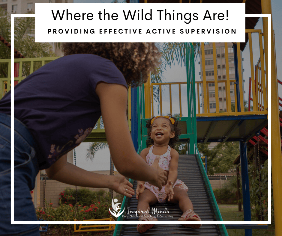 Read more about the article Where the Wild Things Are! Providing Effective Active Supervision