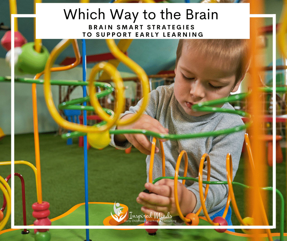 Read more about the article Which Way to the Brain? Brain Smart Strategies to Support Early Learning and Development